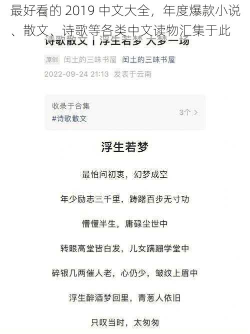 最好看的 2019 中文大全,年度爆款小说、散文、诗歌等各类中文读物汇集于此