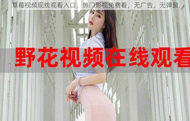 草莓视频现线观看入口,热门影视免费看,无广告,无弹窗