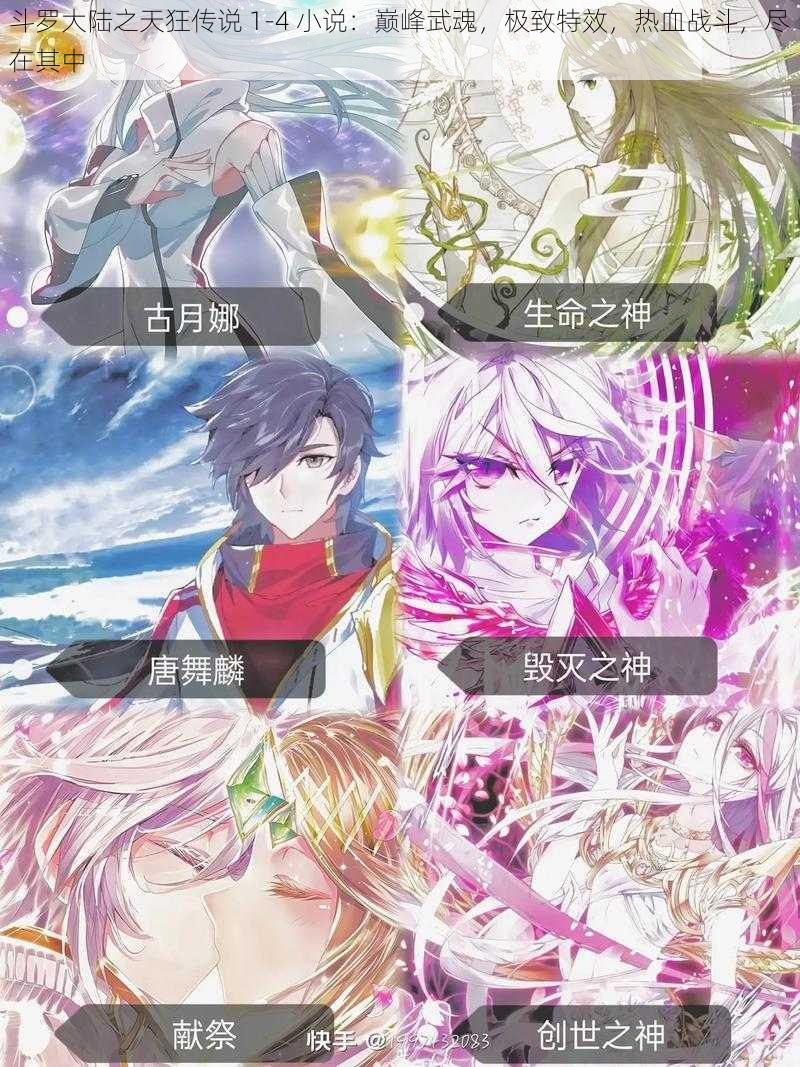 斗罗大陆之天狂传说 1-4 小说:巅峰武魂,极致特效,热血战斗,尽在其中