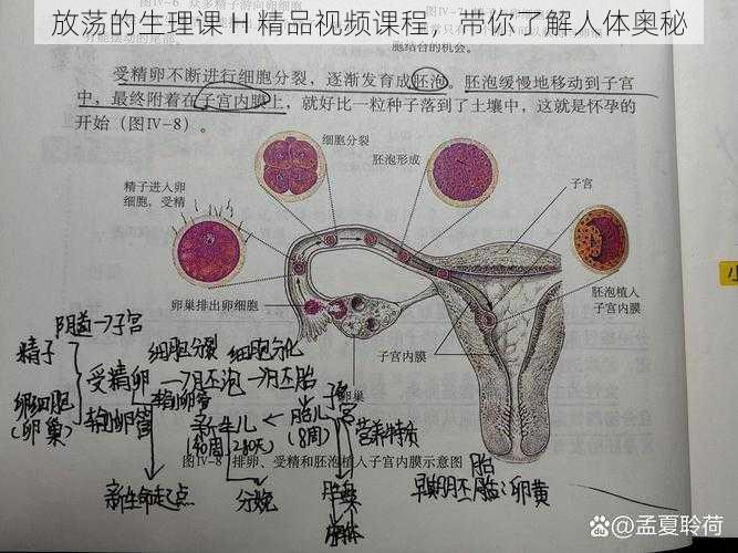 放荡的生理课 H 精品视频课程,带你了解人体奥秘