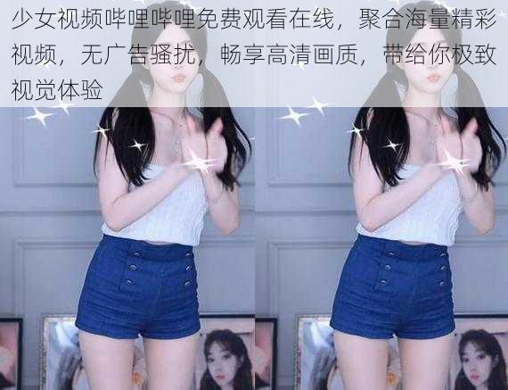 少女视频哔哩哔哩免费观看在线,聚合海量精彩视频,无广告骚扰,畅享高清画质,带给你极致视觉体验