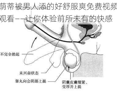 荫蒂被男人添的好舒服爽免费视频观看——让你体验前所未有的快感