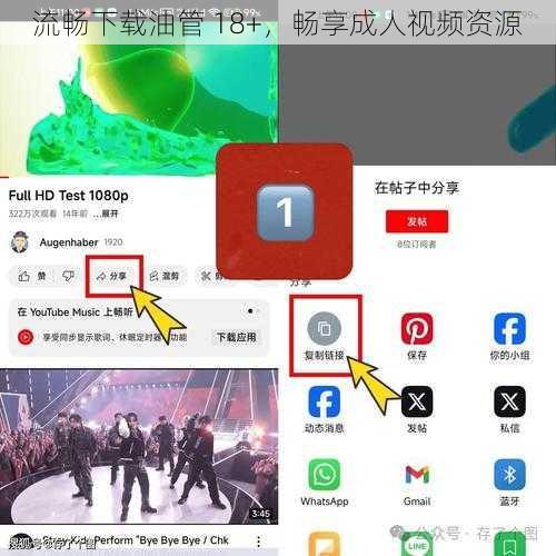 流畅下载油管 18+,畅享成人视频资源