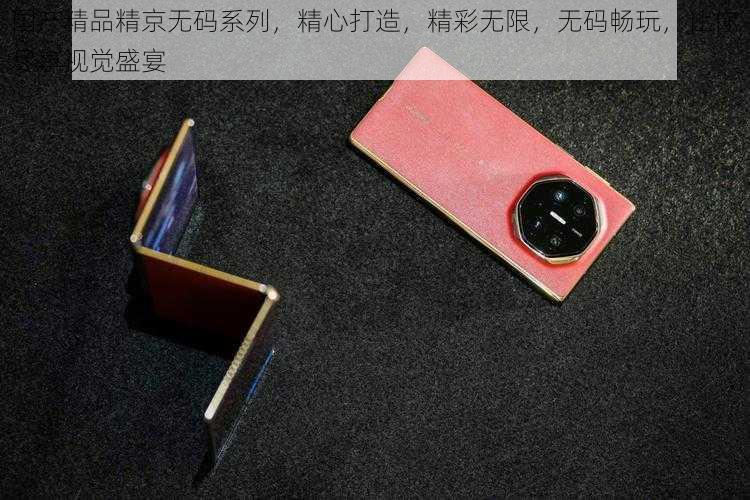 国产精品精京无码系列,精心打造,精彩无限,无码畅玩,让你尽享视觉盛宴