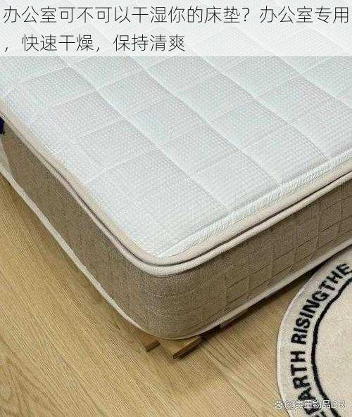 办公室可不可以干湿你的床垫?办公室专用,快速干燥,保持清爽