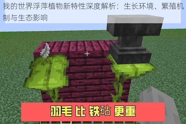 我的世界浮萍植物新特性深度解析:生长环境、繁殖机制与生态影响