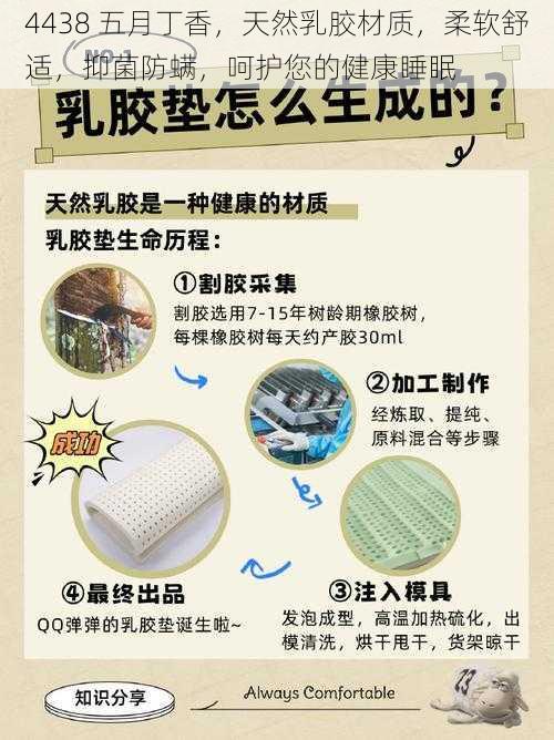 4438 五月丁香,天然乳胶材质,柔软舒适,抑菌防螨,呵护您的健康睡眠