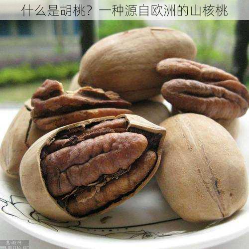 什么是胡桃?一种源自欧洲的山核桃
