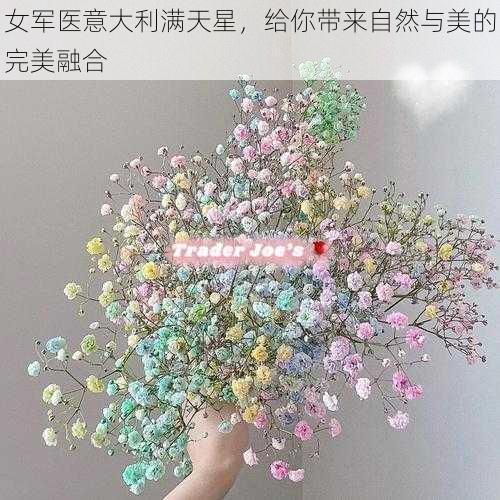 女军医意大利满天星,给你带来自然与美的完美融合