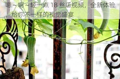 嗯~啊~轻一点 18 丝瓜视频,全新体验,给你不一样的视觉盛宴