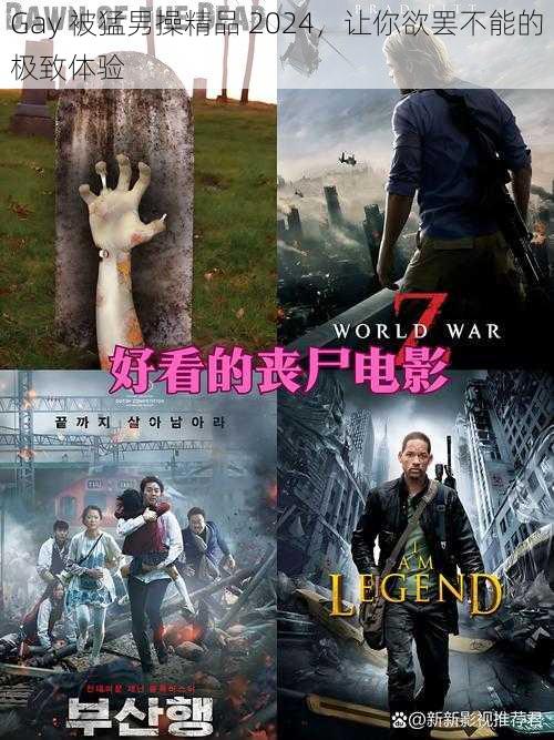 Gay 被猛男操精品 2024,让你欲罢不能的极致体验