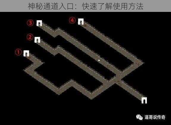 神秘通道入口:快速了解使用方法