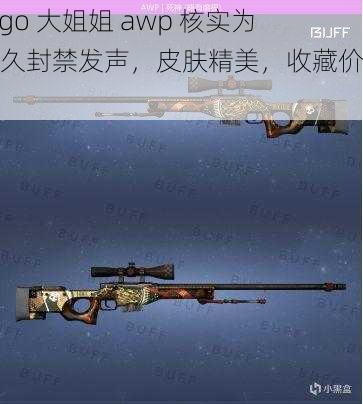 csgo 大姐姐 awp 核实为长久封禁发声,皮肤精美,收藏价值高