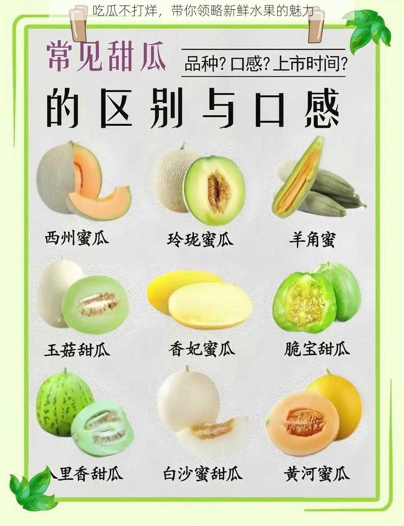 吃瓜不打烊,带你领略新鲜水果的魅力