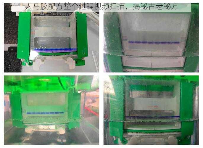 人马胶配方整个过程视频扫描,揭秘古老秘方