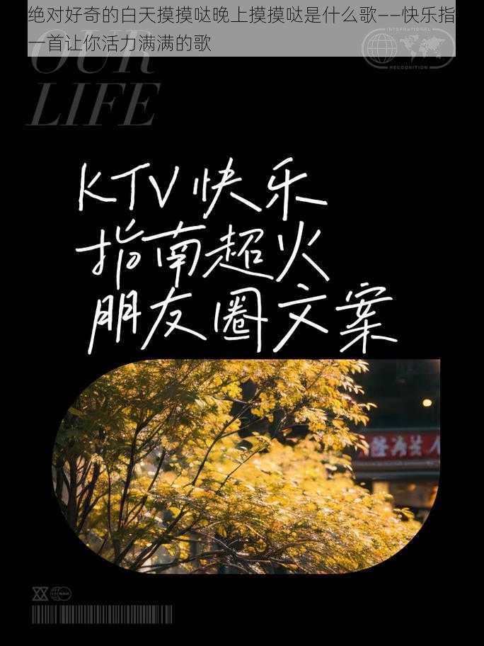 你绝对好奇的白天摸摸哒晚上摸摸哒是什么歌——快乐指南,一首让你活力满满的歌