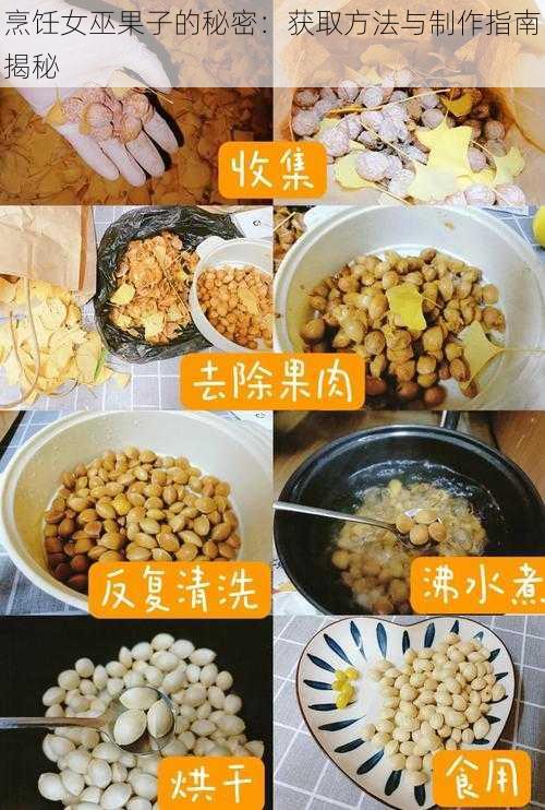 烹饪女巫果子的秘密:获取方法与制作指南揭秘