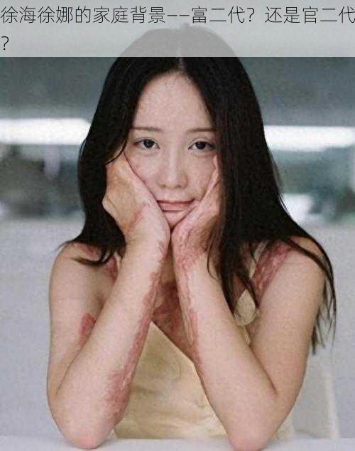徐海徐娜的家庭背景——富二代?还是官二代?