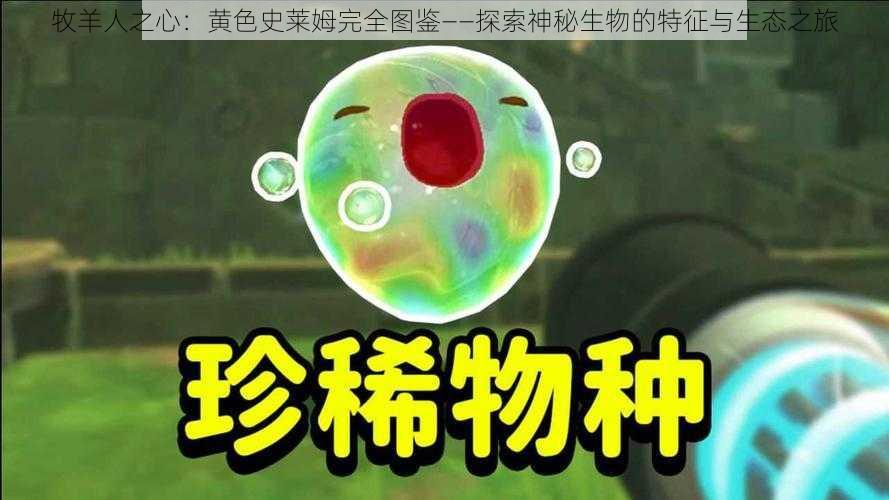 牧羊人之心:黄色史莱姆完全图鉴——探索神秘生物的特征与生态之旅