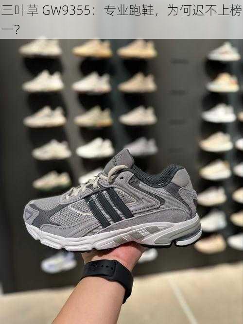 三叶草 GW9355:专业跑鞋,为何迟不上榜一?