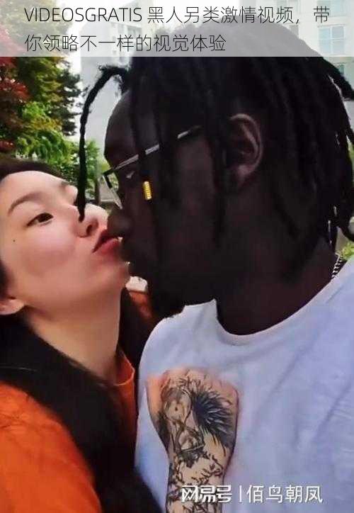 VIDEOSGRATIS 黑人另类激情视频,带你领略不一样的视觉体验