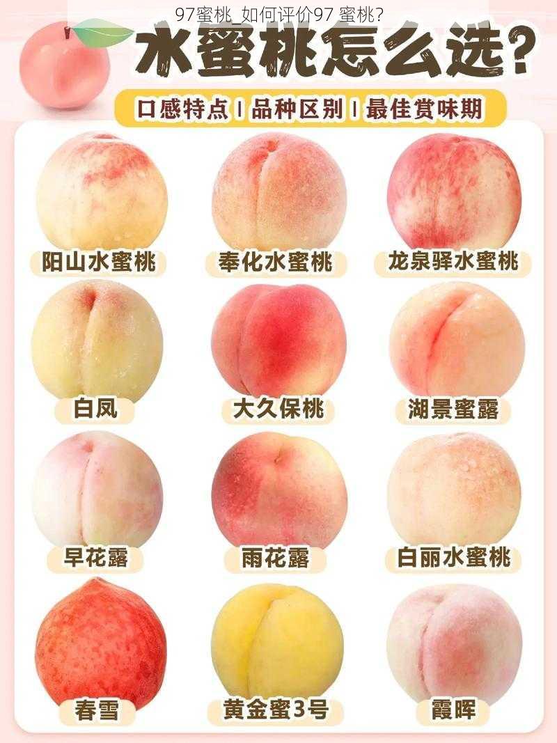 97蜜桃_如何评价97 蜜桃?