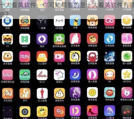 十大看黄软件、你可能需要的是十大看黄软件有哪些?