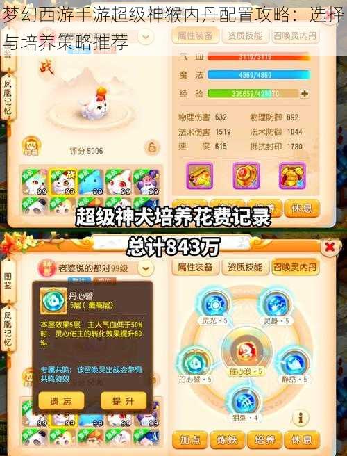 梦幻西游手游超级神猴内丹配置攻略:选择与培养策略推荐