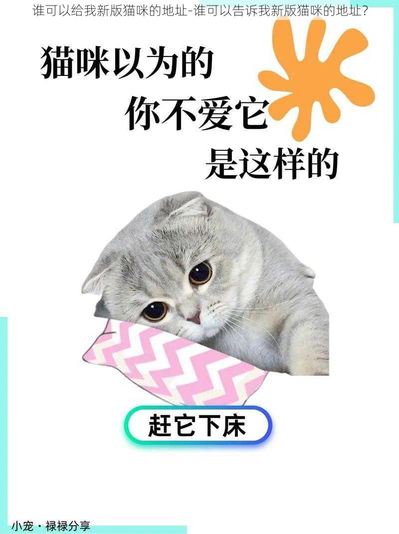 谁可以给我新版猫咪的地址-谁可以告诉我新版猫咪的地址?