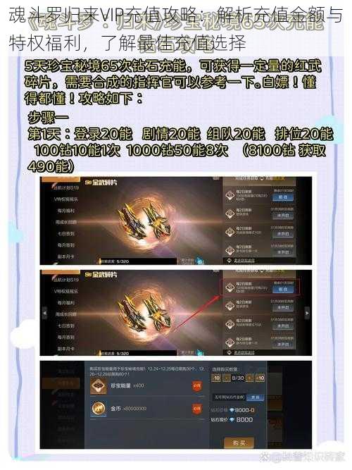 魂斗罗归来VIP充值攻略:解析充值金额与特权福利,了解最佳充值选择