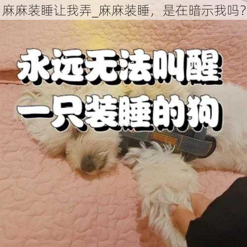 麻麻装睡让我弄_麻麻装睡,是在暗示我吗?