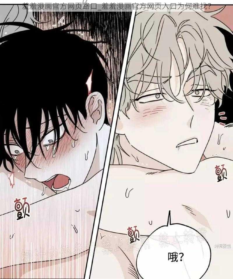 羞羞漫画官方网页路口_羞羞漫画官方网页入口为何难找?