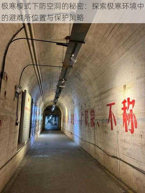 极寒模式下防空洞的秘密:探索极寒环境中的避难所位置与保护策略