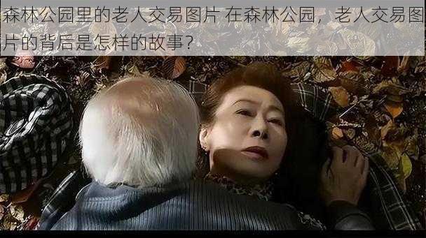森林公园里的老人交易图片 在森林公园,老人交易图片的背后是怎样的故事?
