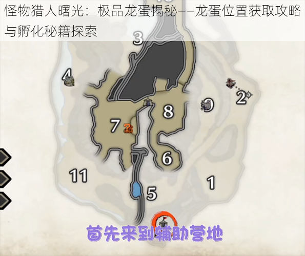怪物猎人曙光:极品龙蛋揭秘——龙蛋位置获取攻略与孵化秘籍探索