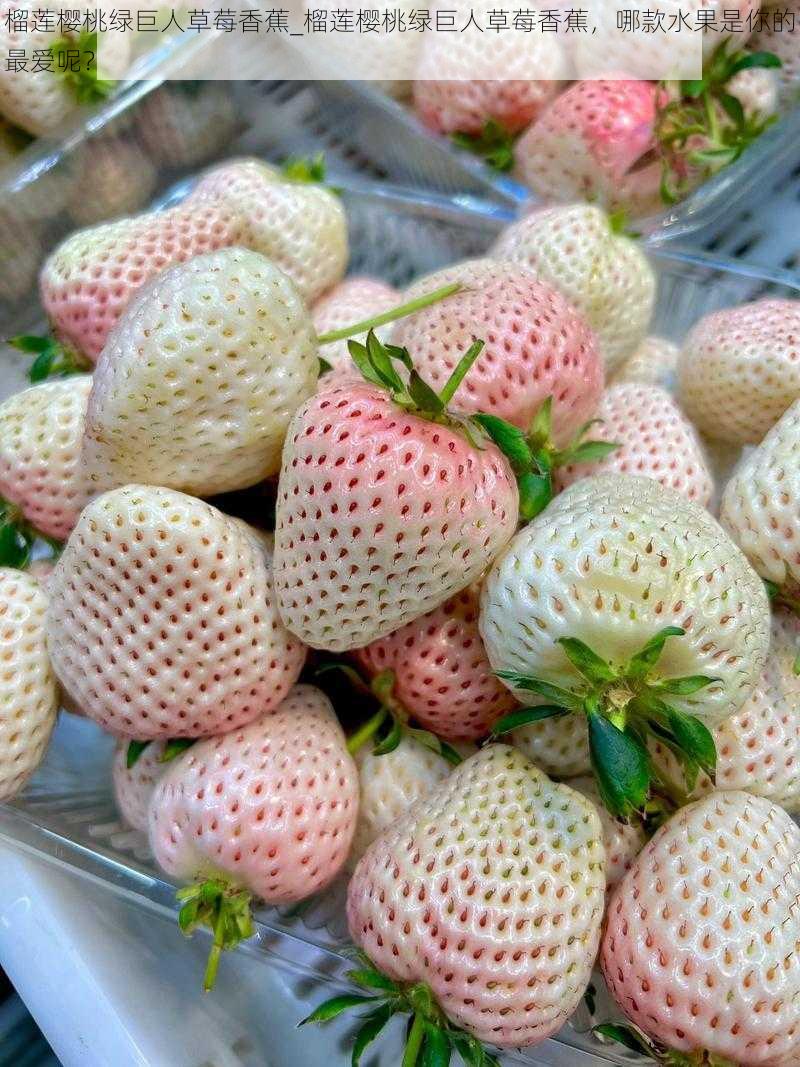 榴莲樱桃绿巨人草莓香蕉_榴莲樱桃绿巨人草莓香蕉,哪款水果是你的最爱呢?