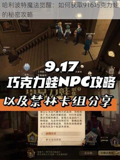 哈利波特魔法觉醒:如何获取916巧克力蛙的秘密攻略