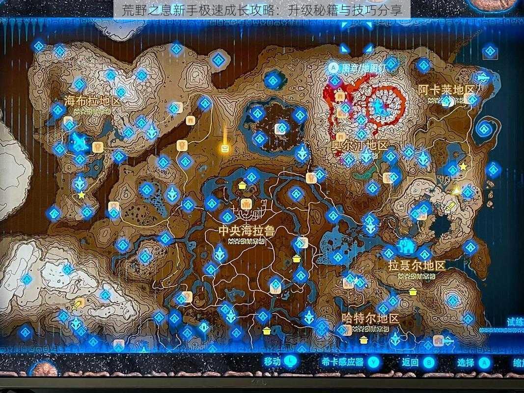 荒野之息新手极速成长攻略:升级秘籍与技巧分享