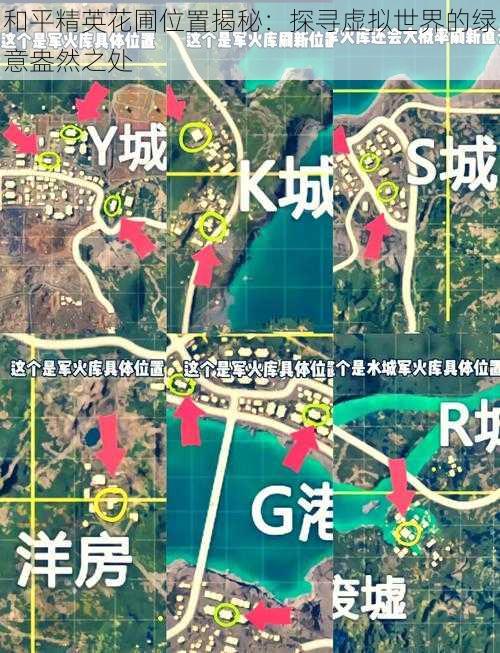 和平精英花圃位置揭秘:探寻虚拟世界的绿意盎然之处