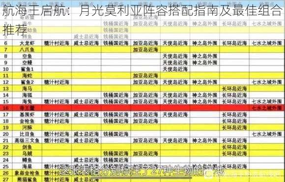 航海王启航:月光莫利亚阵容搭配指南及最佳组合推荐