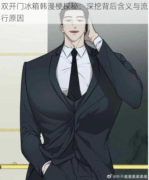 双开门冰箱韩漫梗探秘:深挖背后含义与流行原因