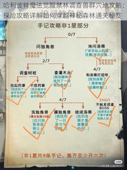 哈利波特魔法觉醒禁林调查兽群穴地攻略:探险攻略详解如何穿越神秘森林通关秘笈