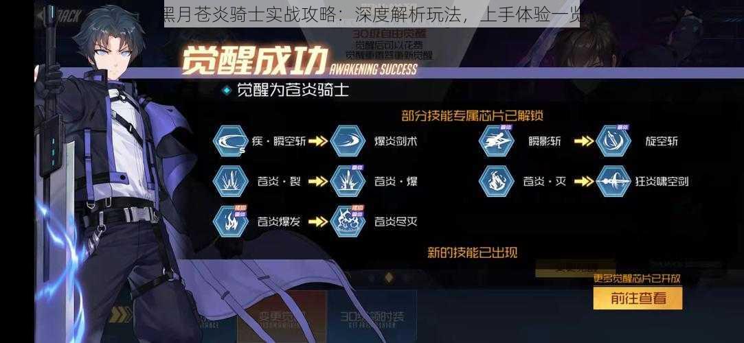 黑月苍炎骑士实战攻略:深度解析玩法,上手体验一览
