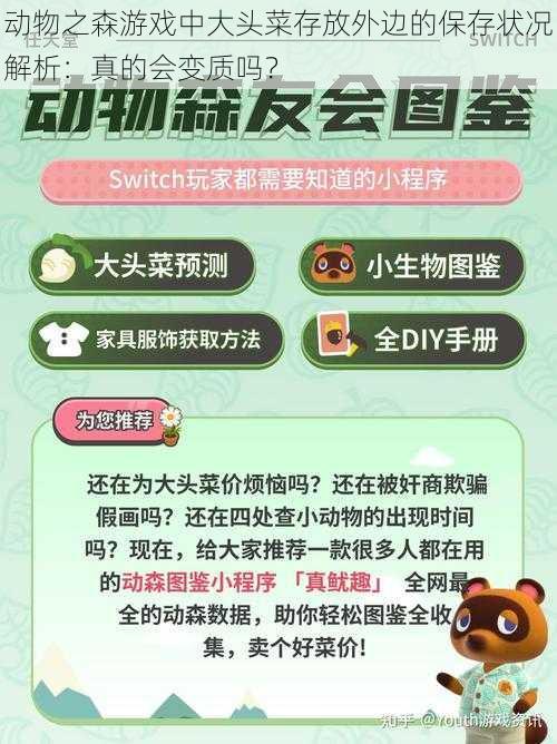动物之森游戏中大头菜存放外边的保存状况解析:真的会变质吗?