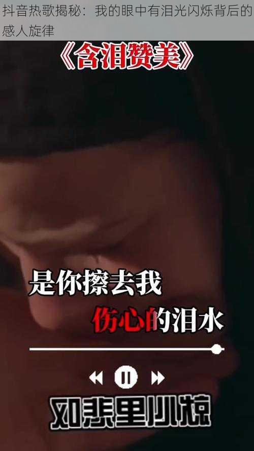 抖音热歌揭秘:我的眼中有泪光闪烁背后的感人旋律