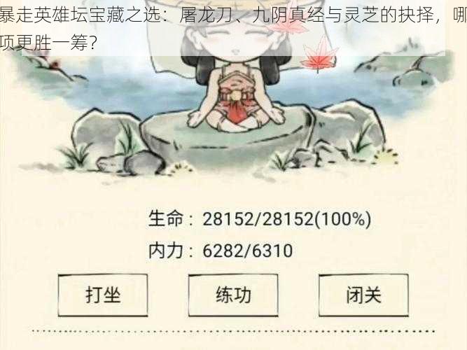 暴走英雄坛宝藏之选:屠龙刀、九阴真经与灵芝的抉择,哪项更胜一筹?