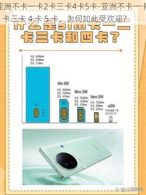 亚洲不卡一卡2卡三卡4卡5卡-亚洲不卡一卡 2 卡三卡 4 卡 5 卡,为何如此受欢迎?