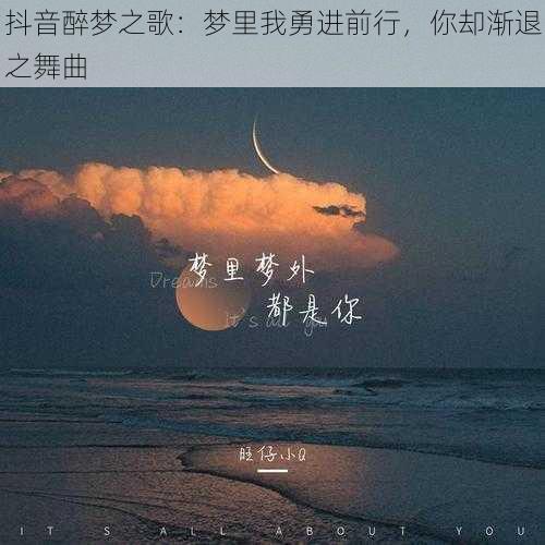 抖音醉梦之歌:梦里我勇进前行,你却渐退之舞曲