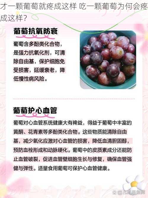 才一颗葡萄就疼成这样 吃一颗葡萄为何会疼成这样?