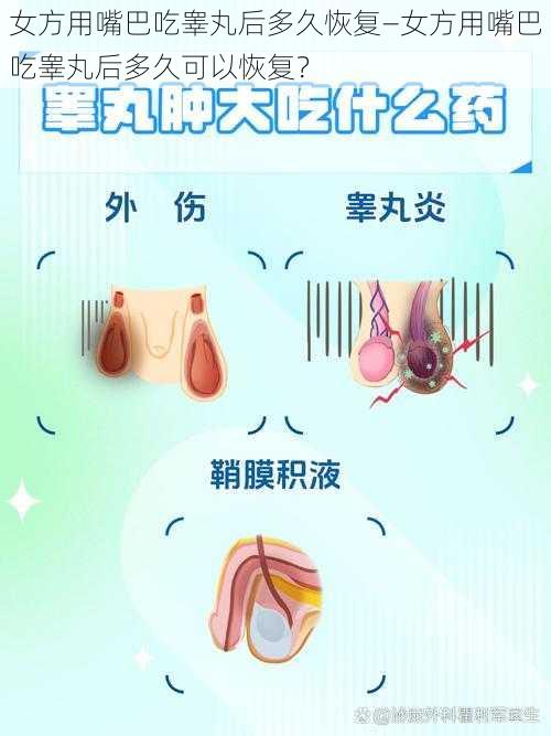女方用嘴巴吃睾丸后多久恢复—女方用嘴巴吃睾丸后多久可以恢复?